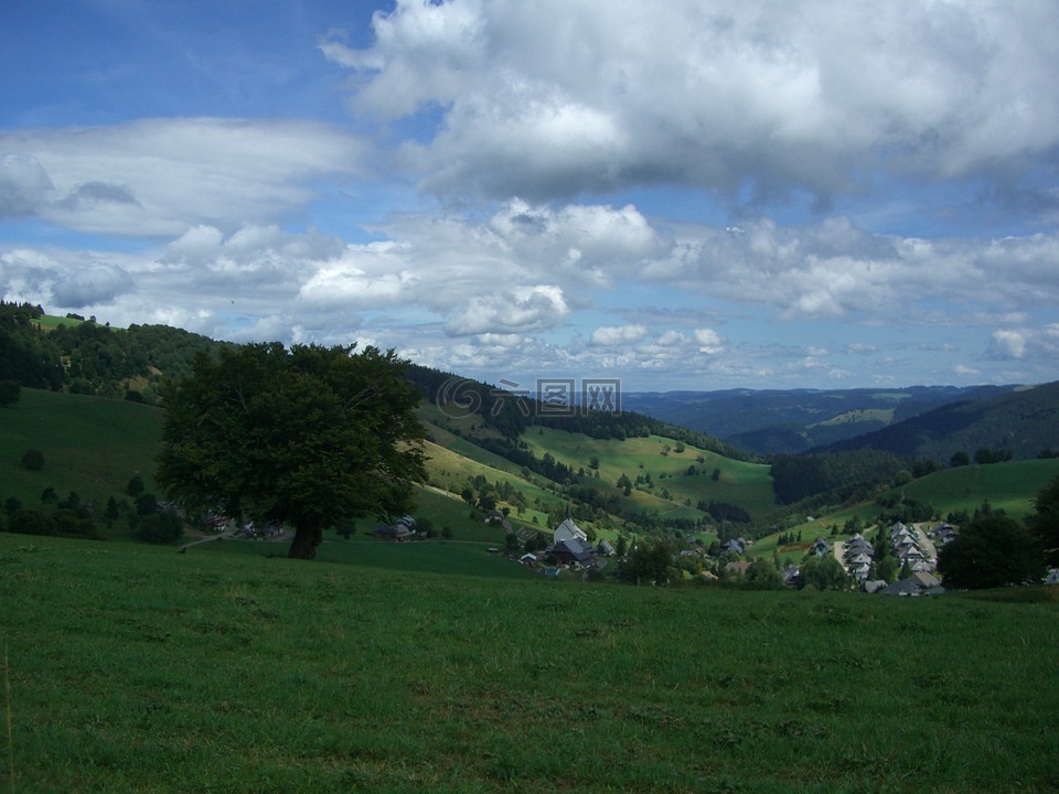 hofsgrund,schauinsland,黑色的森林