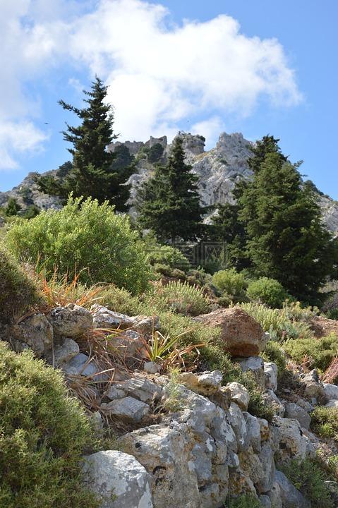 景观,山,科斯