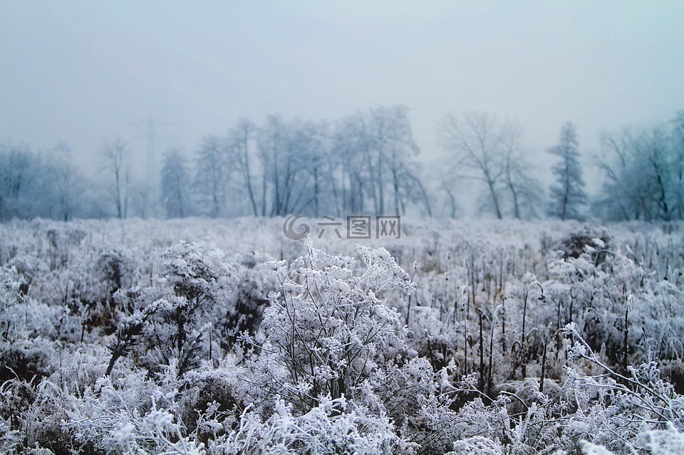 冬天,雪,冰