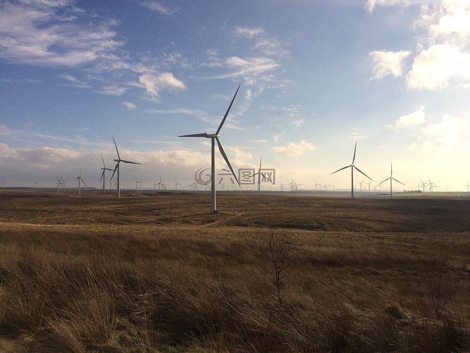 风电场,whitelee风,可再生能源