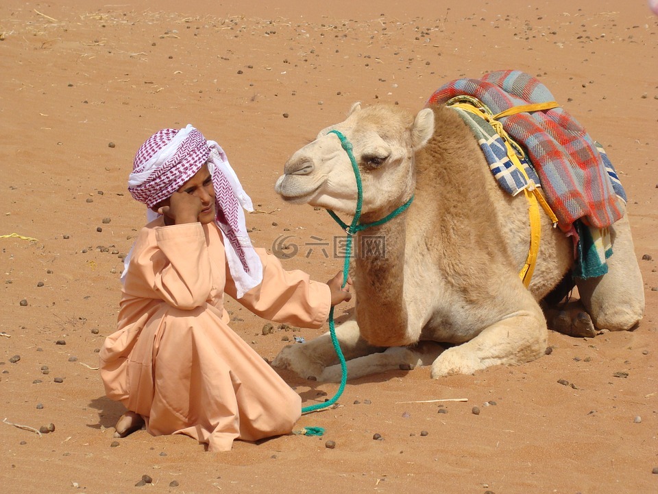 贝都因人,骆驼,沙漠