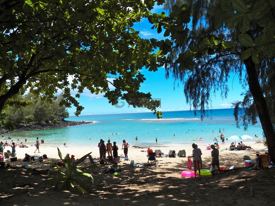 夏威夷,考艾島,海