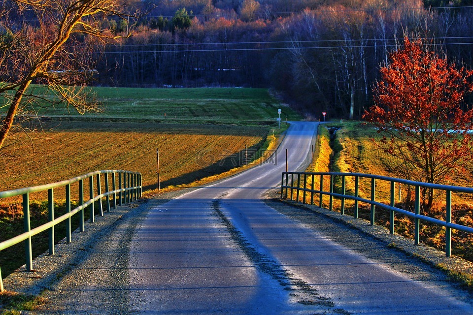 乡村道路,景观,桥