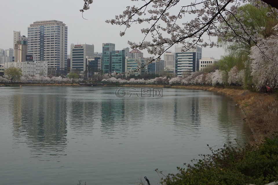 蚕室,松坡,石村湖