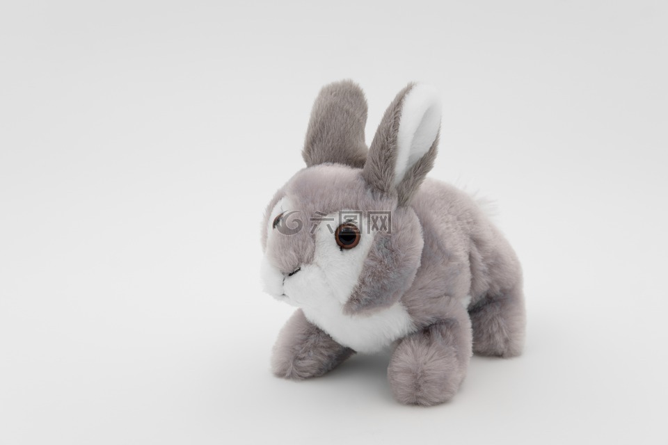 野兔,毛绒兔子,可爱的小兔子