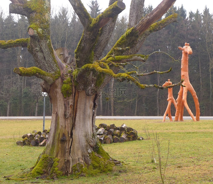 老树,长颈鹿,木雕