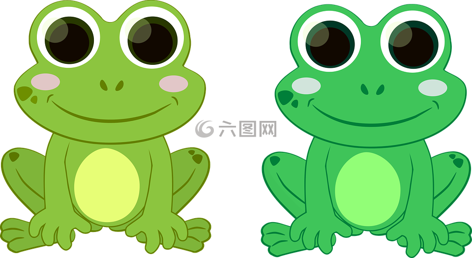 青蛙,绿色,蟾蜍
