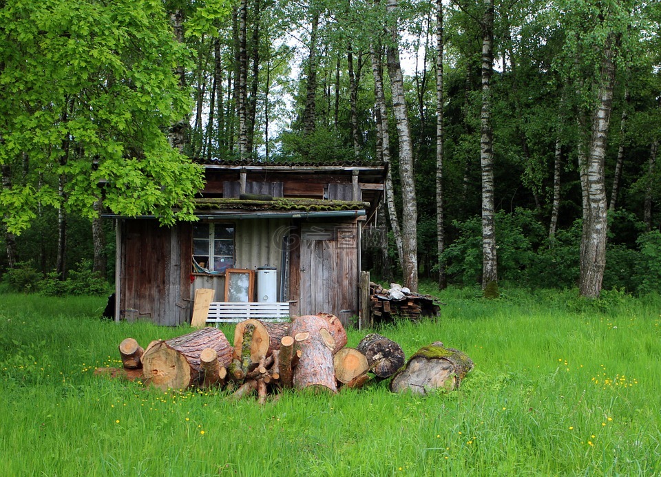 森林小屋,棚屋,小木屋