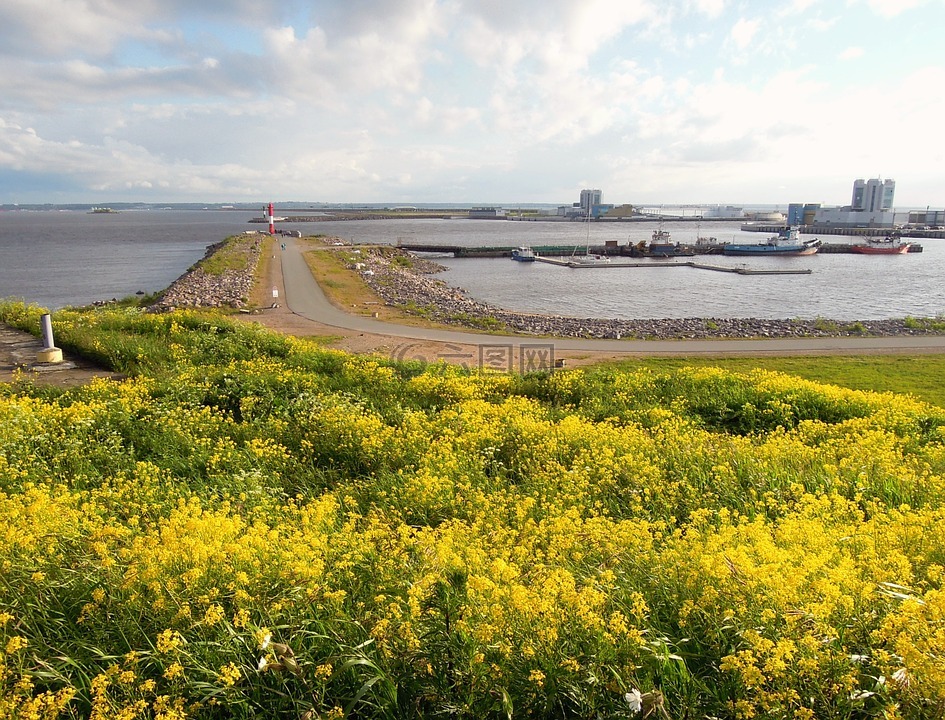 灯塔,岛,海