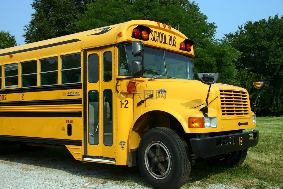 学校巴士,总线,车辆