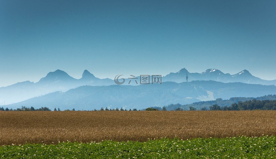 mannens 平原,瑞士,山
