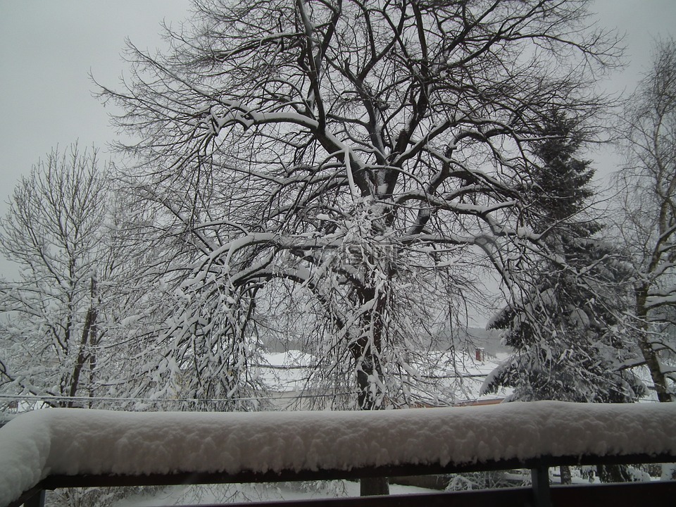 2 月,雪,冬季的心情