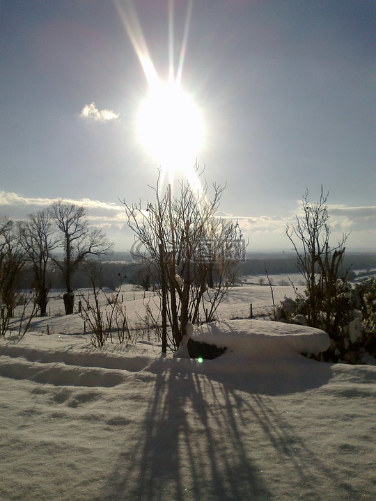 雪,冬天,冬天风景
