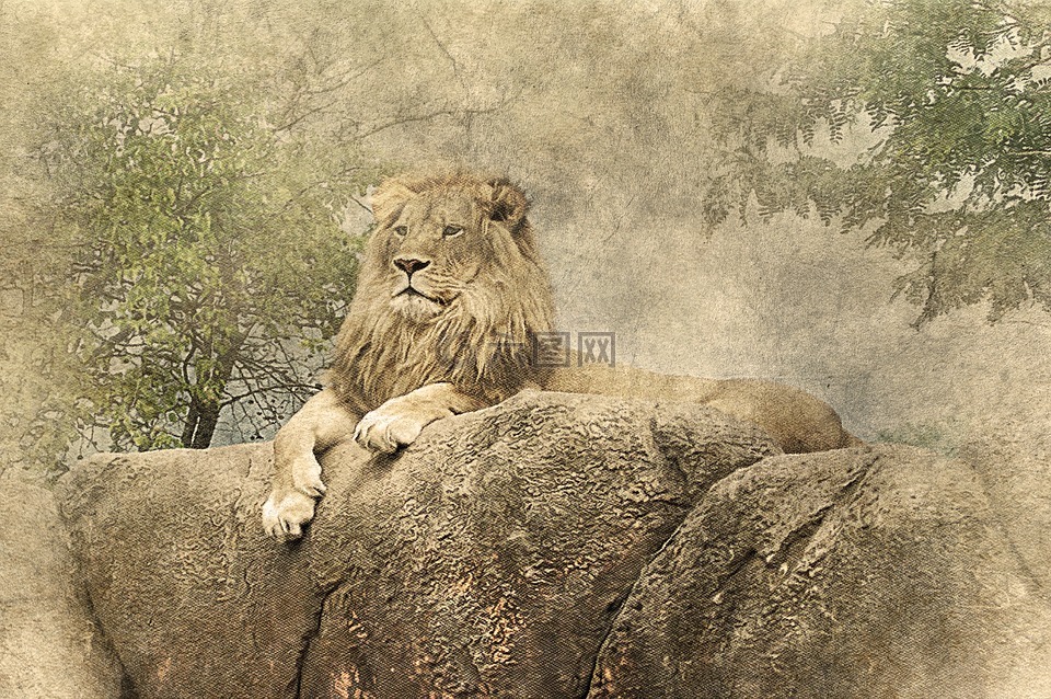 狮子,躺着,石