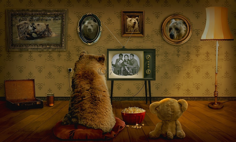 熊,泰迪熊,看电视