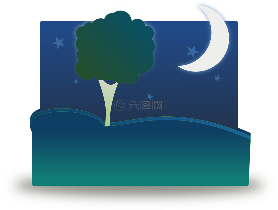 夜,景观,树