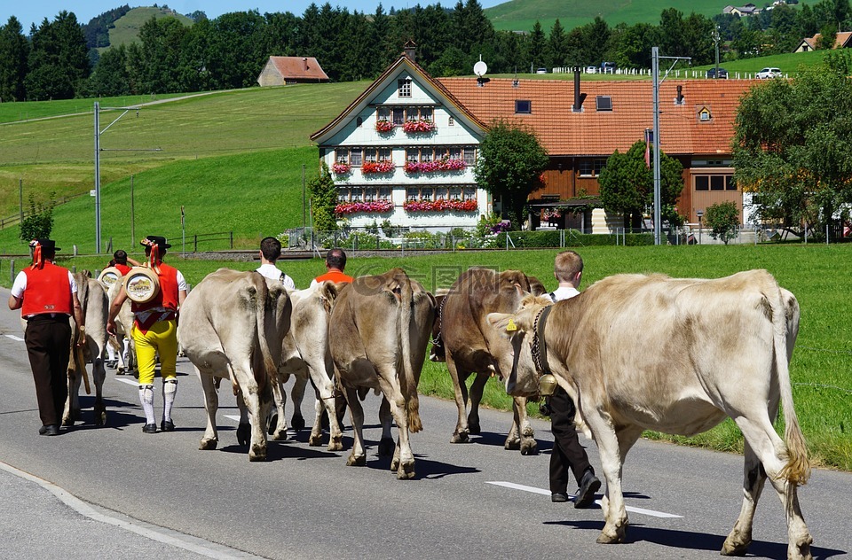 almabtrieb,désalpe,碱性磷酸酶输出