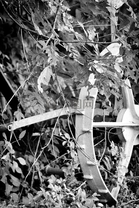 农场,机械,农业