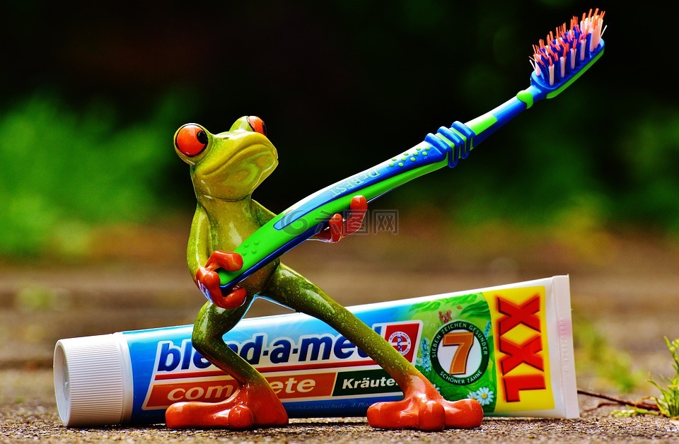 牙膏,青蛙,牙刷