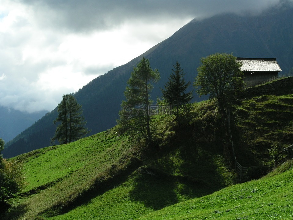 瑞士,高山草甸,高山
