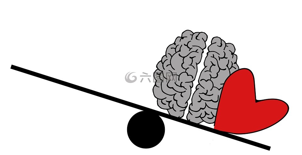 大脑,头,心理学
