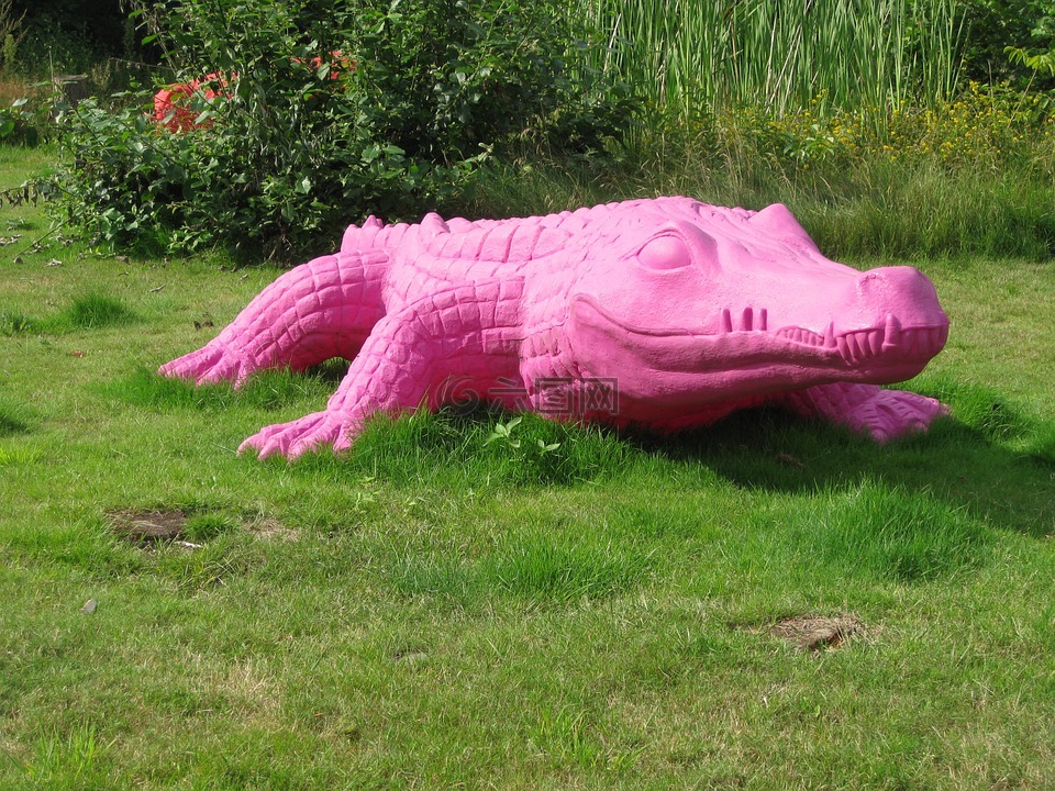 鳄鱼粉红色危险