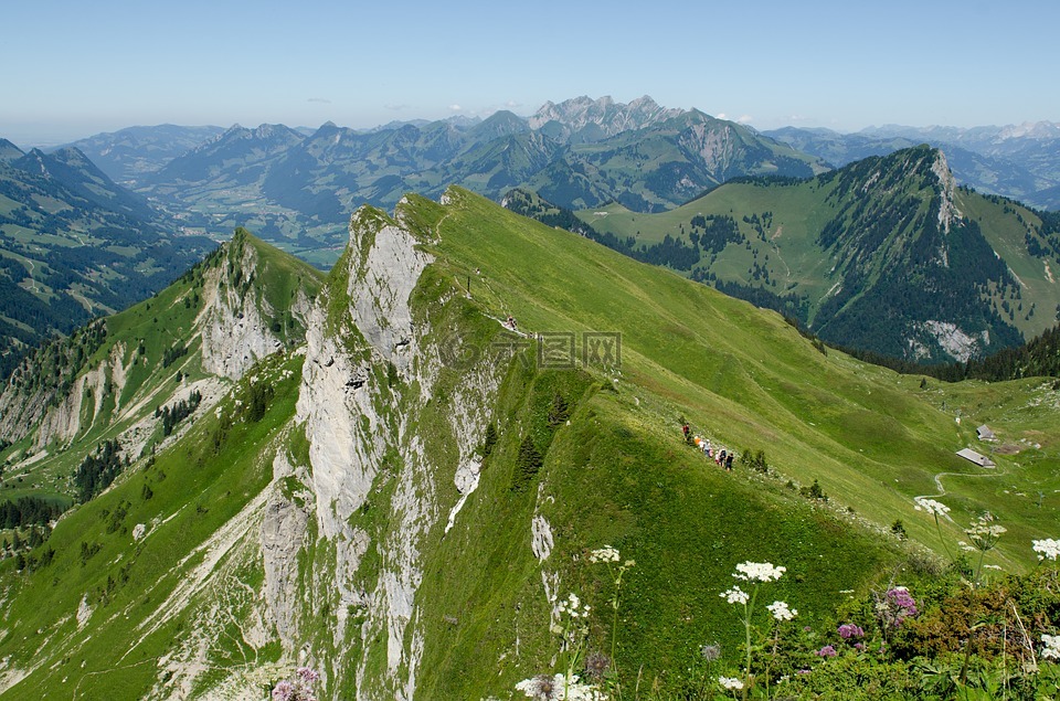 景观,瑞士,山