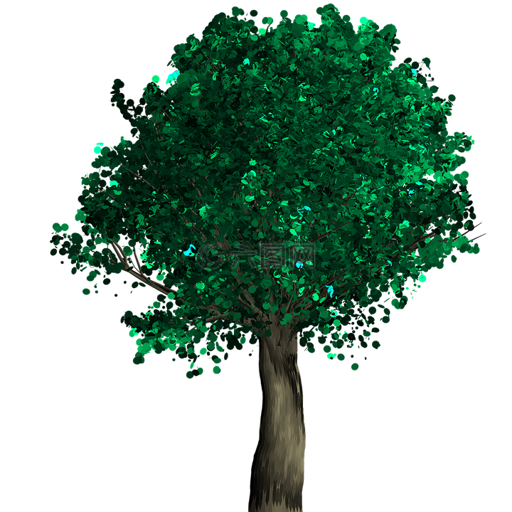 树,装饰,绿色