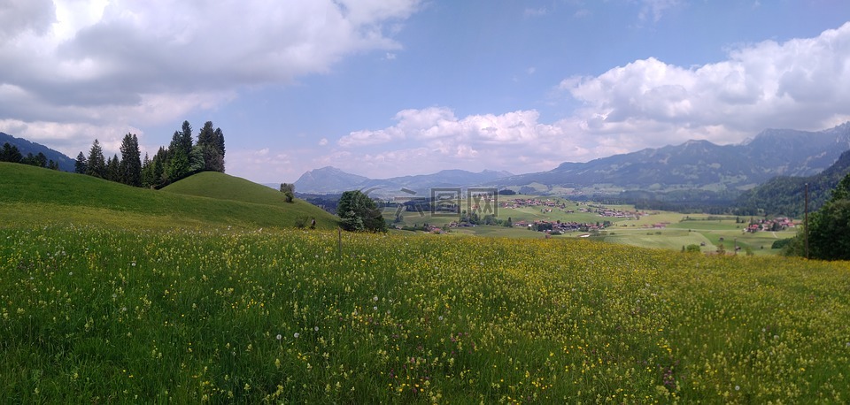 阿尔卑斯山野生动物公园,obermaiselstein,野生动物公园