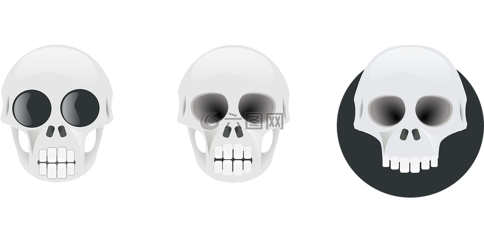 头骨,骨骼,人类