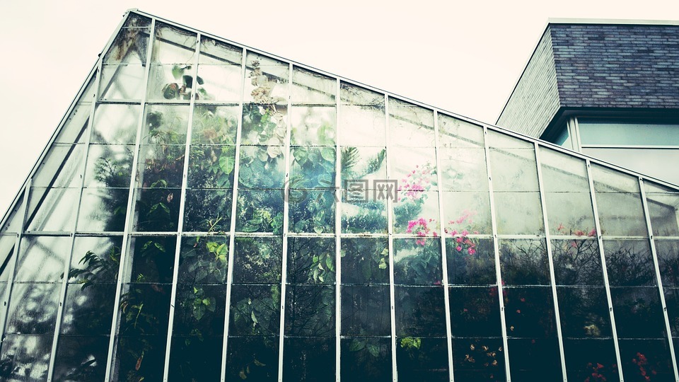 温室,上海音乐学院,园艺