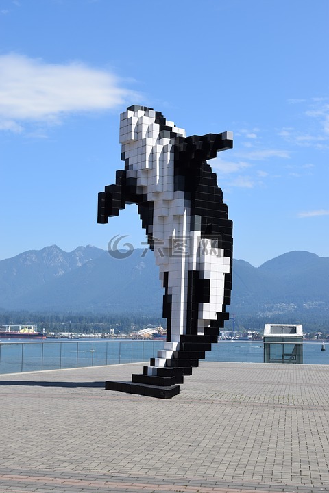 鲸鱼,温哥华,山