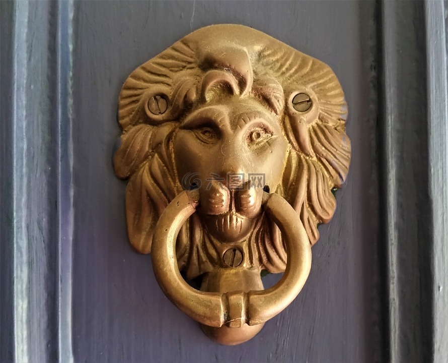 狮子,门,门环