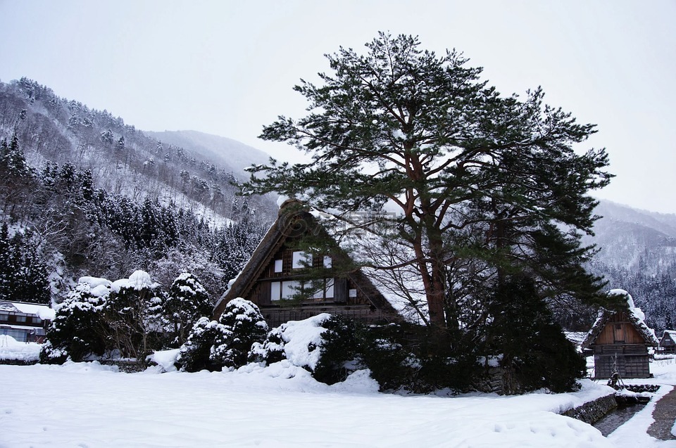 合掌村,雪景,日本