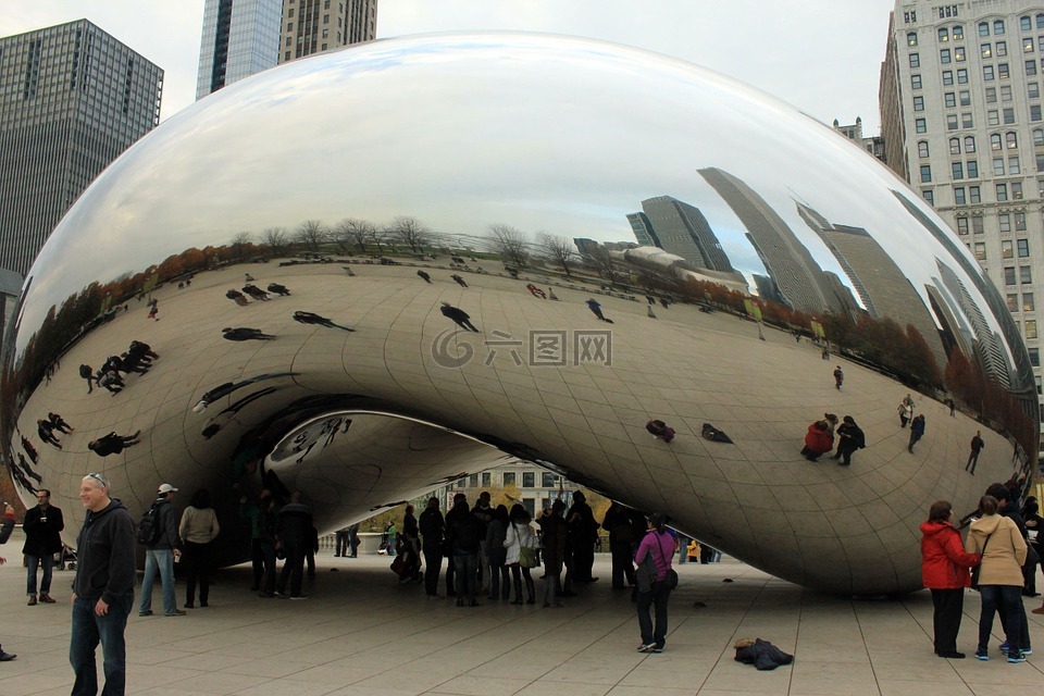 豆,芝加哥,美国