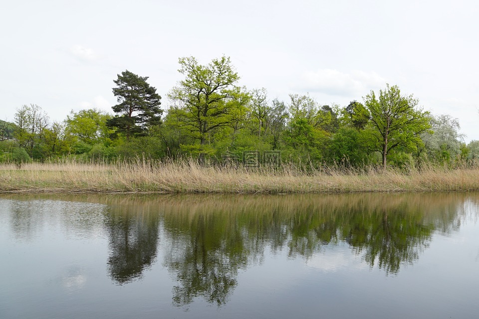 性质,自然保护区,池塘
