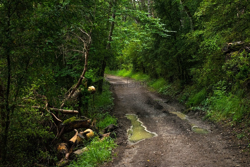 西班牙,圣地亚哥路径,路