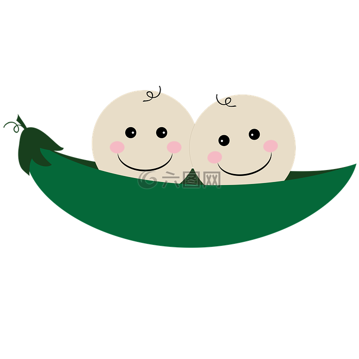 双胞胎,在一个豆荚里的两颗豌豆,豌豆