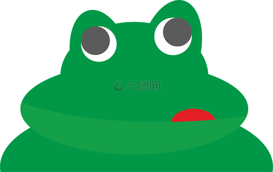 青蛙,一只蟾蜍,动物