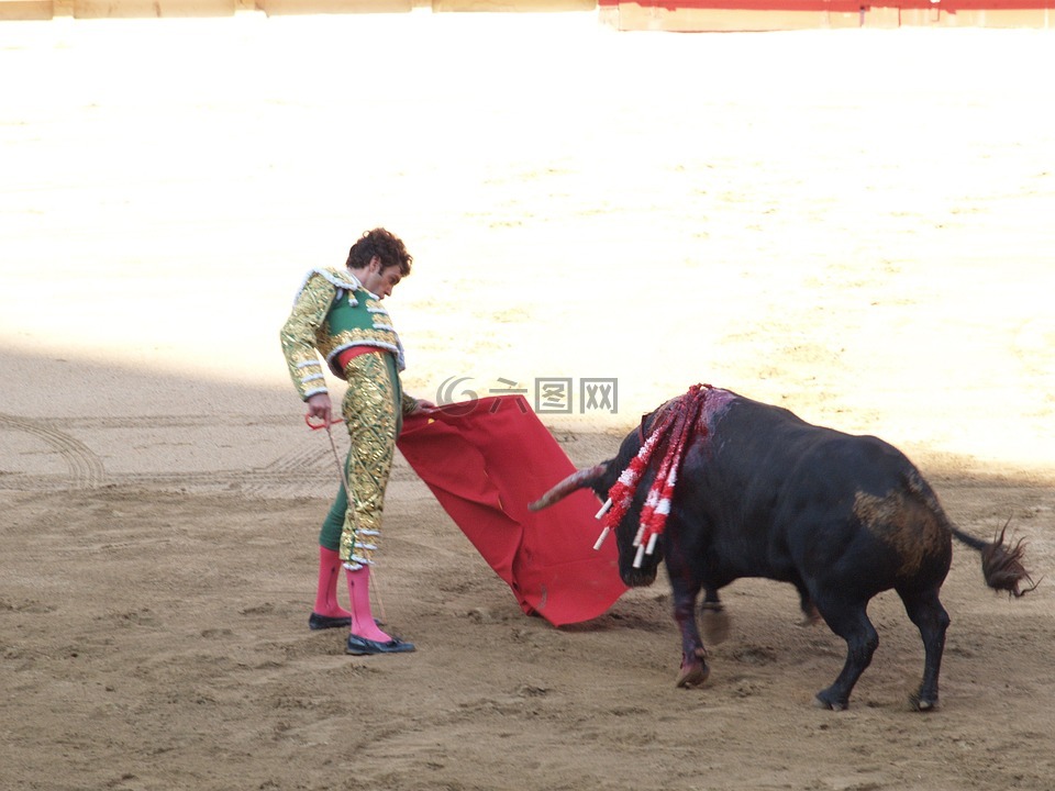 斗牛,公牛队,西班牙