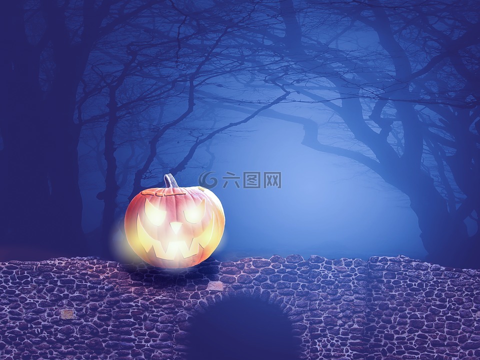 halloweenkuerbis,南瓜,万圣节