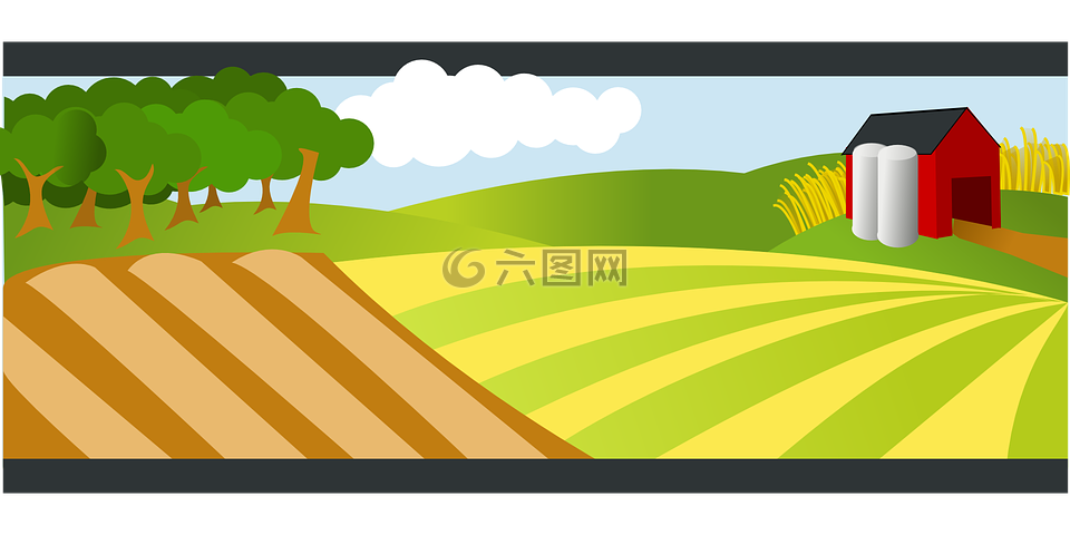 农业,农场,景观