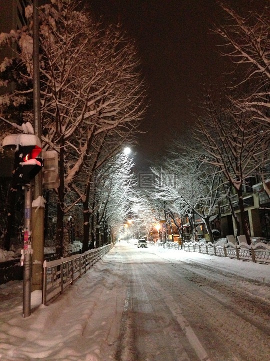 冬季,晚上,雪