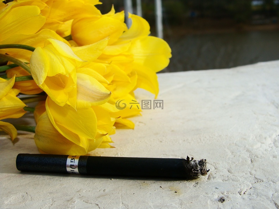 抽烟,香烟,鲜花