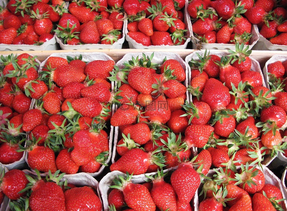草莓,收获,农民和地方市场