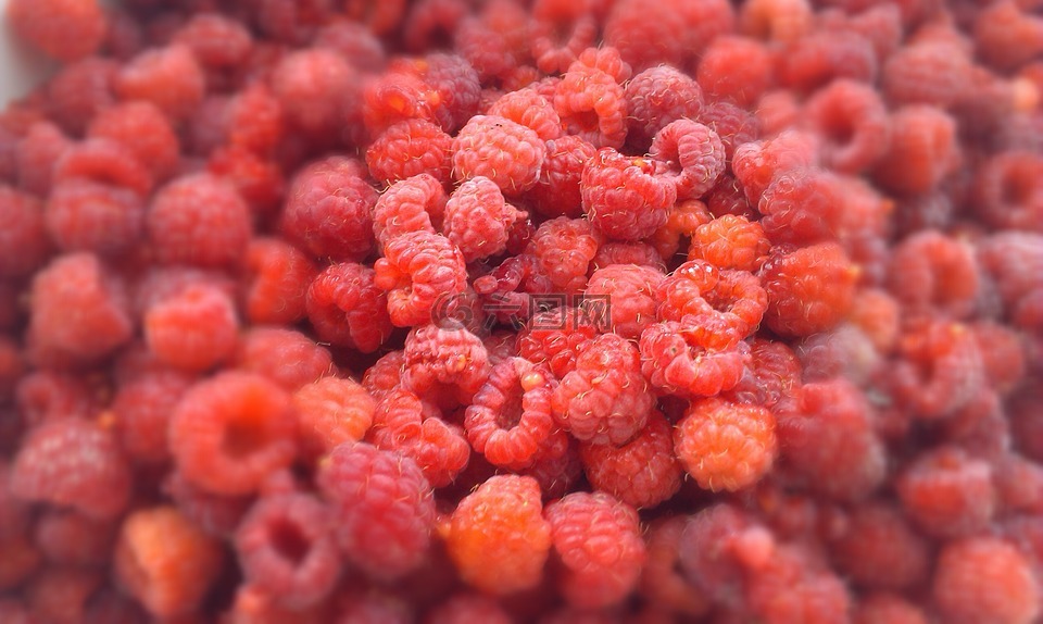 覆盆子,莓果,覆盆子的浆果