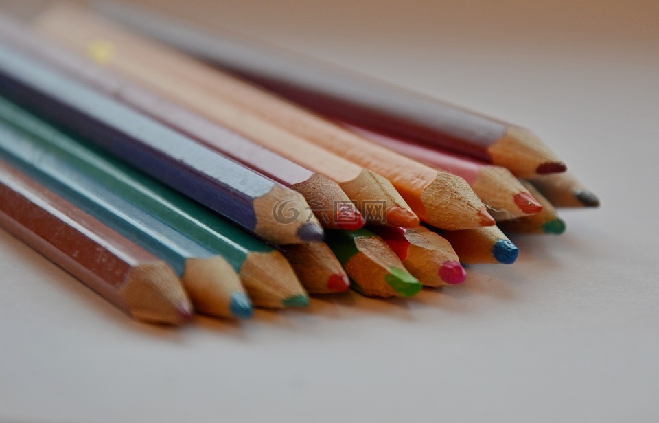 铅笔,彩色的铅笔,树