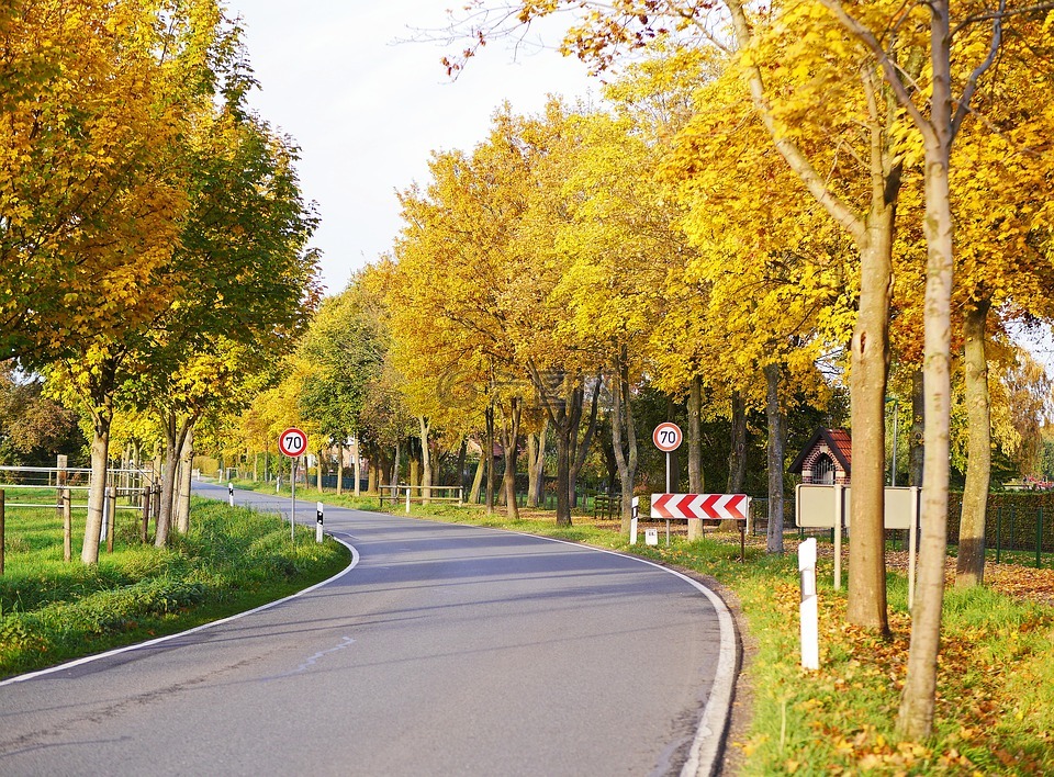 秋天的国家的道路,大道,秋天的颜色