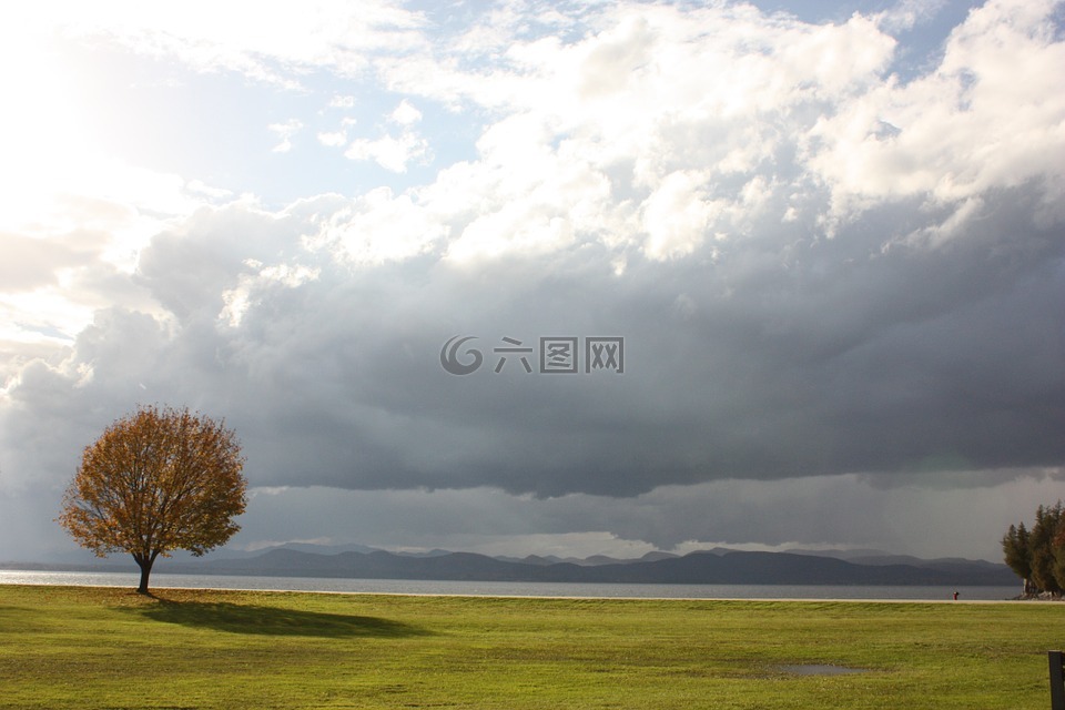 尚普兰湖,秋,树