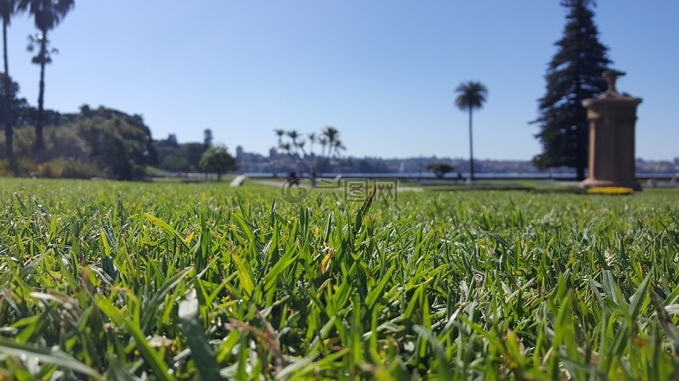 澳大利亚,悉尼,新南威尔士州